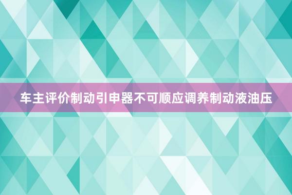 车主评价制动引申器不可顺应调养制动液油压