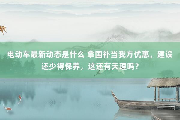 电动车最新动态是什么 拿国补当我方优惠，建设还少得保养，这还有天理吗？