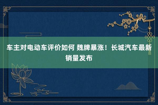 车主对电动车评价如何 魏牌暴涨！长城汽车最新销量发布