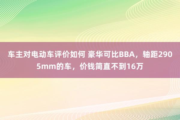 车主对电动车评价如何 豪华可比BBA，轴距2905mm的车，价钱简直不到16万