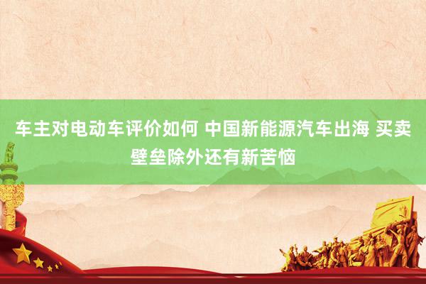 车主对电动车评价如何 中国新能源汽车出海 买卖壁垒除外还有新苦恼