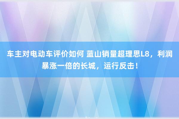 车主对电动车评价如何 蓝山销量超理思L8，利润暴涨一倍的长城，运行反击！