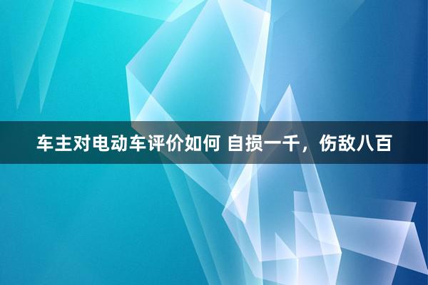 车主对电动车评价如何 自损一千，伤敌八百