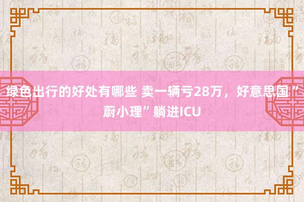 绿色出行的好处有哪些 卖一辆亏28万，好意思国“蔚小理”躺进ICU