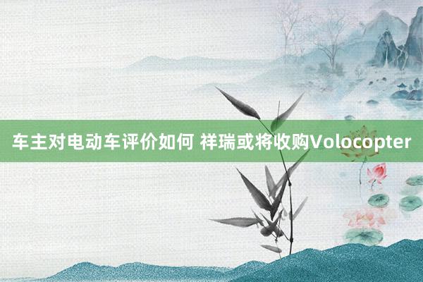 车主对电动车评价如何 祥瑞或将收购Volocopter