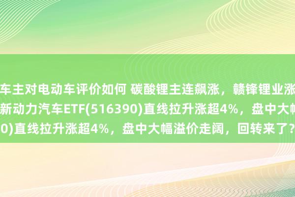 车主对电动车评价如何 碳酸锂主连飙涨，赣锋锂业涨停、宁德期间涨3%，新动力汽车ETF(516390)直线拉升涨超4%，盘中大幅溢价走阔，回转来了？