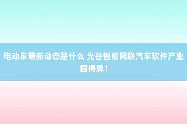 电动车最新动态是什么 光谷智能网联汽车软件产业园揭牌！