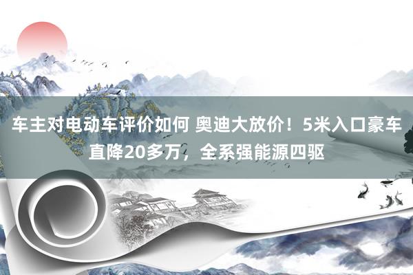 车主对电动车评价如何 奥迪大放价！5米入口豪车直降20多万，全系强能源四驱