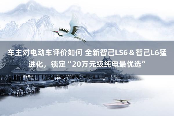 车主对电动车评价如何 全新智己LS6＆智己L6猛进化，锁定“20万元级纯电最优选”