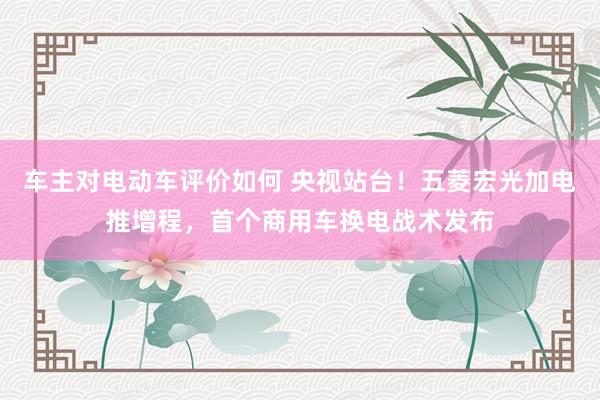 车主对电动车评价如何 央视站台！五菱宏光加电推增程，首个商用车换电战术发布