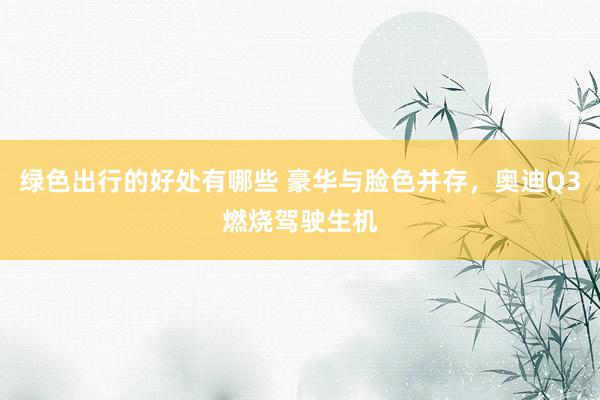 绿色出行的好处有哪些 豪华与脸色并存，奥迪Q3燃烧驾驶生机