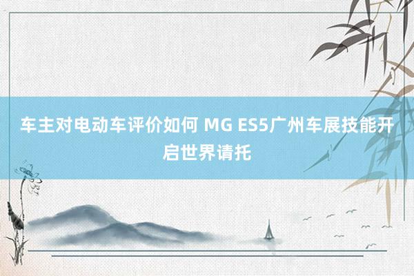 车主对电动车评价如何 MG ES5广州车展技能开启世界请托