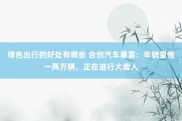 绿色出行的好处有哪些 合创汽车暴雷：年销量惟一两万辆，正在进行大裁人