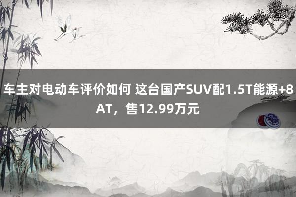 车主对电动车评价如何 这台国产SUV配1.5T能源+8AT，售12.99万元