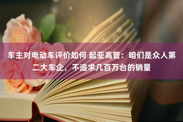 车主对电动车评价如何 起亚高管：咱们是众人第二大车企，不追求几百万台的销量