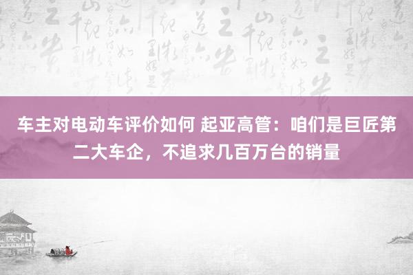 车主对电动车评价如何 起亚高管：咱们是巨匠第二大车企，不追求几百万台的销量