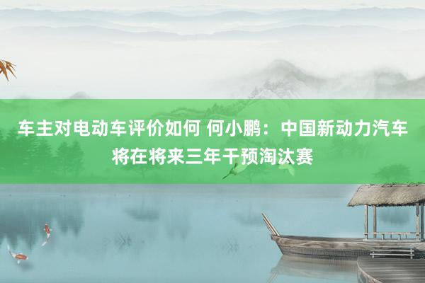 车主对电动车评价如何 何小鹏：中国新动力汽车将在将来三年干预淘汰赛