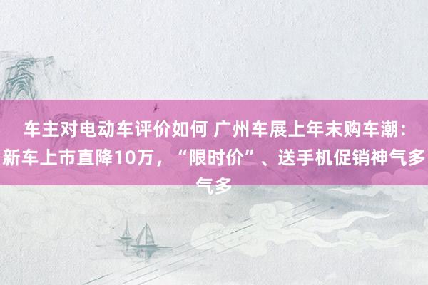 车主对电动车评价如何 广州车展上年末购车潮：新车上市直降10万，“限时价”、送手机促销神气多