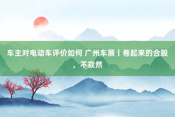 车主对电动车评价如何 广州车展丨卷起来的合股，不寂然