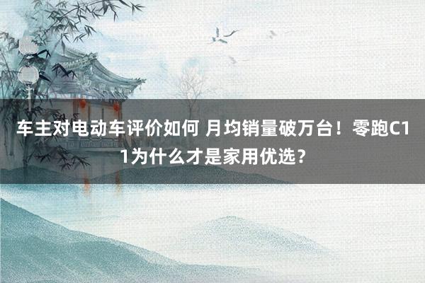 车主对电动车评价如何 月均销量破万台！零跑C11为什么才是家用优选？