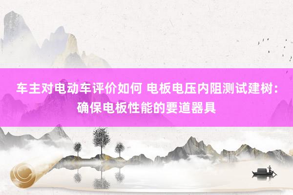 车主对电动车评价如何 电板电压内阻测试建树：确保电板性能的要道器具