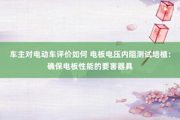 车主对电动车评价如何 电板电压内阻测试培植：确保电板性能的要害器具