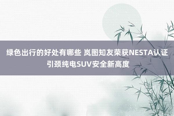 绿色出行的好处有哪些 岚图知友荣获NESTA认证 引颈纯电SUV安全新高度