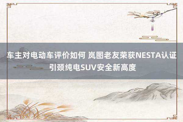 车主对电动车评价如何 岚图老友荣获NESTA认证 引颈纯电SUV安全新高度