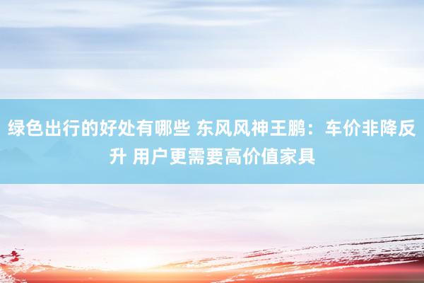 绿色出行的好处有哪些 东风风神王鹏：车价非降反升 用户更需要高价值家具