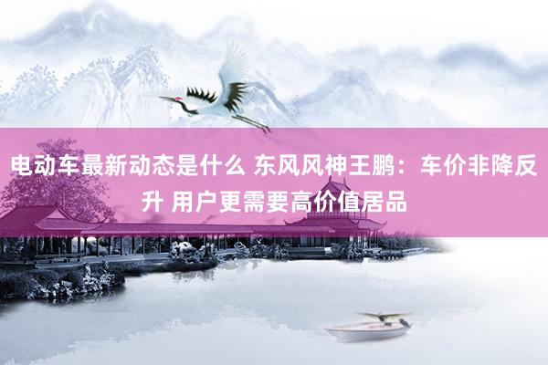 电动车最新动态是什么 东风风神王鹏：车价非降反升 用户更需要高价值居品