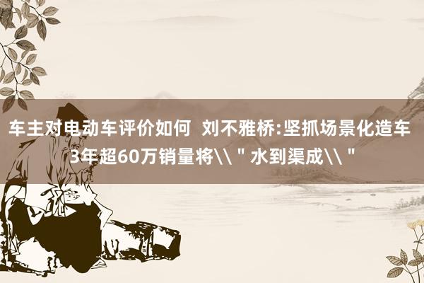 车主对电动车评价如何  刘不雅桥:坚抓场景化造车 3年超60万销量将\＂水到渠成\＂