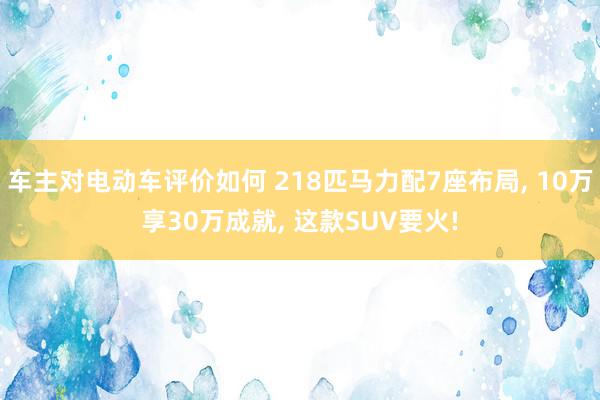 车主对电动车评价如何 218匹马力配7座布局, 10万享30万成就, 这款SUV要火!