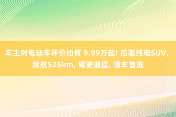 车主对电动车评价如何 9.99万起! 后驱纯电SUV, 续航525km, 驾驶逍遥, 懂车首选