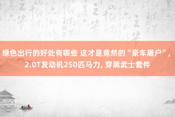 绿色出行的好处有哪些 这才是竟然的“豪车屠户”, 2.0T发动机250匹马力, 穿黑武士套件