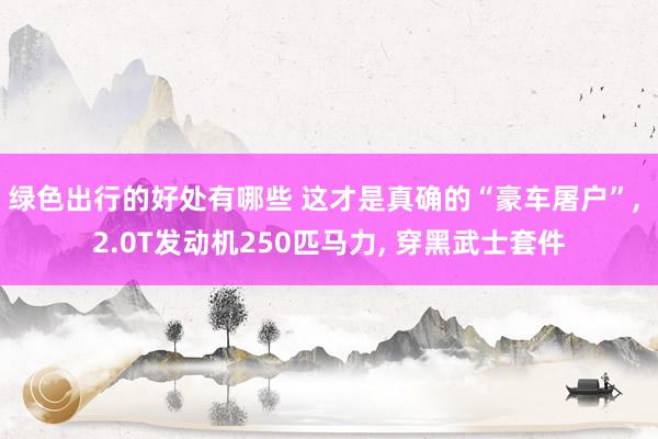 绿色出行的好处有哪些 这才是真确的“豪车屠户”, 2.0T发动机250匹马力, 穿黑武士套件