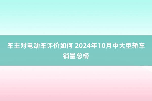 车主对电动车评价如何 2024年10月中大型轿车销量总榜