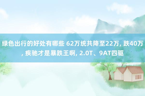 绿色出行的好处有哪些 62万统共降至22万, 跌40万, 疾驰才是暴跌王啊, 2.0T、9AT四驱