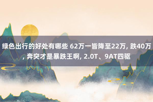 绿色出行的好处有哪些 62万一皆降至22万, 跌40万, 奔突才是暴跌王啊, 2.0T、9AT四驱