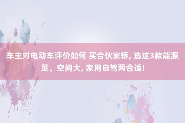 车主对电动车评价如何 买合伙家轿, 选这3款能源足、空间大, 家用自驾两合适!