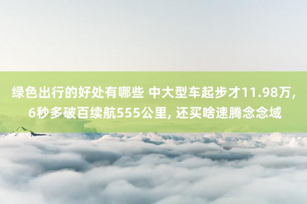 绿色出行的好处有哪些 中大型车起步才11.98万, 6秒多破百续航555公里, 还买啥速腾念念域