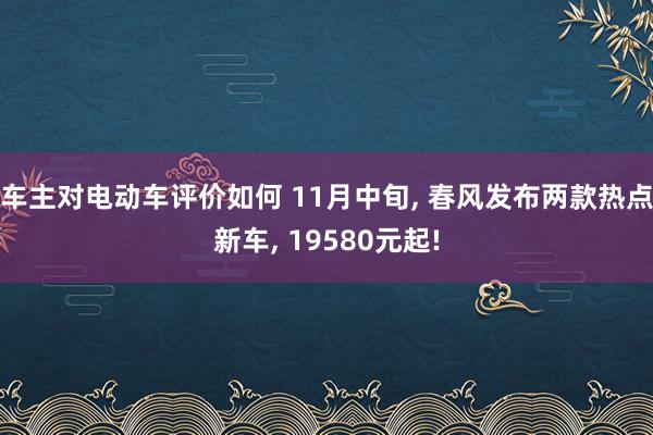 车主对电动车评价如何 11月中旬, 春风发布两款热点新车, 19580元起!