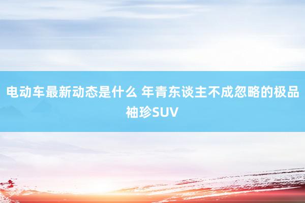 电动车最新动态是什么 年青东谈主不成忽略的极品袖珍SUV