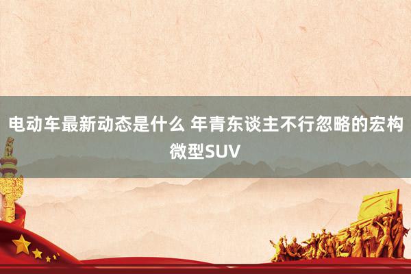 电动车最新动态是什么 年青东谈主不行忽略的宏构微型SUV