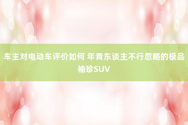 车主对电动车评价如何 年青东谈主不行忽略的极品袖珍SUV