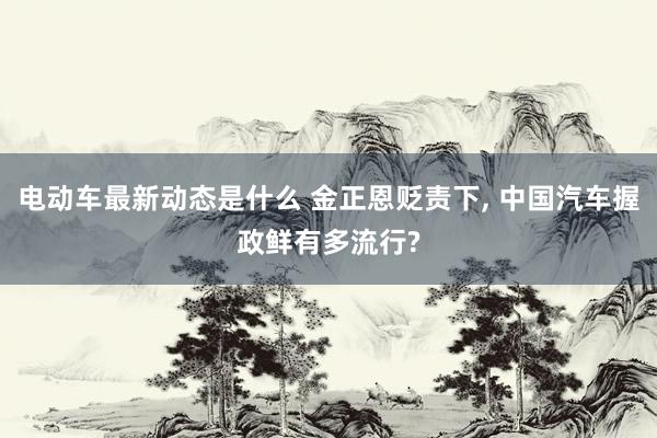 电动车最新动态是什么 金正恩贬责下, 中国汽车握政鲜有多流行?