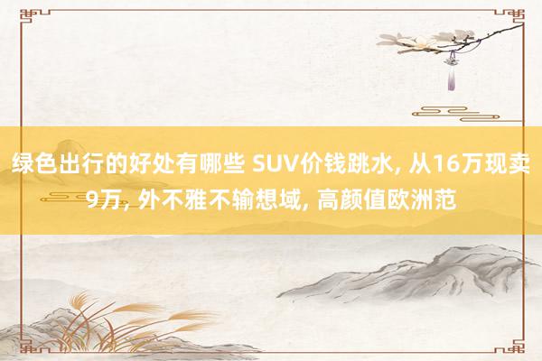 绿色出行的好处有哪些 SUV价钱跳水, 从16万现卖9万, 外不雅不输想域, 高颜值欧洲范