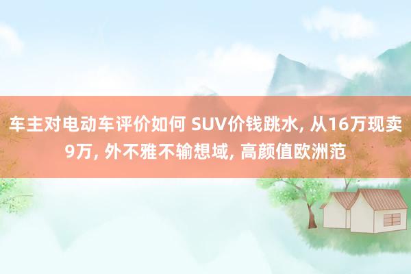 车主对电动车评价如何 SUV价钱跳水, 从16万现卖9万, 外不雅不输想域, 高颜值欧洲范