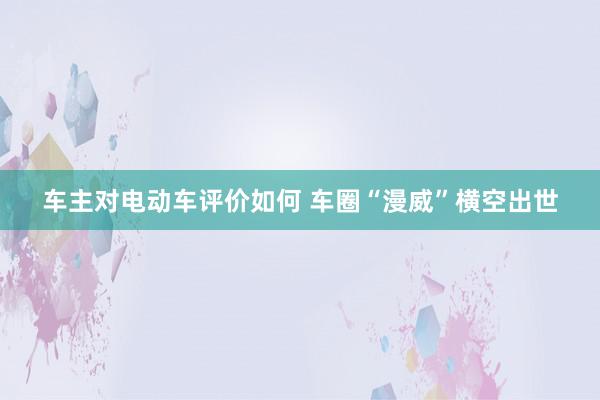 车主对电动车评价如何 车圈“漫威”横空出世