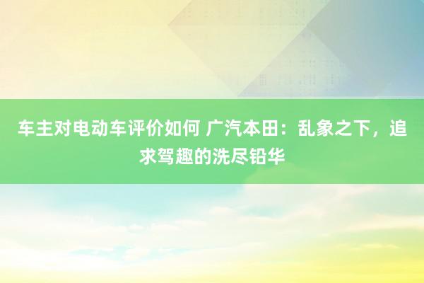 车主对电动车评价如何 广汽本田：乱象之下，追求驾趣的洗尽铅华