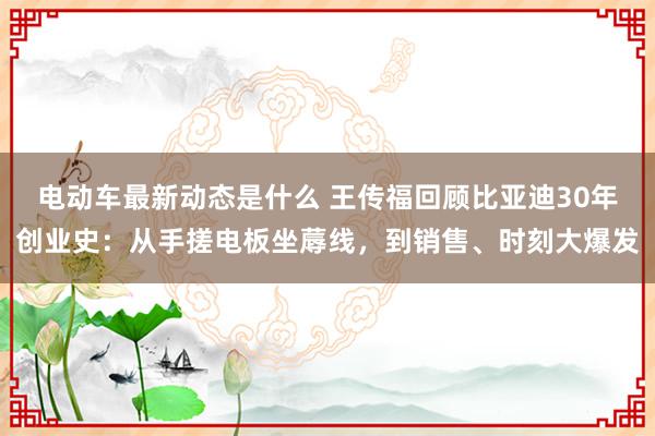 电动车最新动态是什么 王传福回顾比亚迪30年创业史：从手搓电板坐蓐线，到销售、时刻大爆发